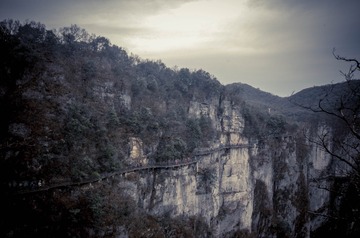 DSC_1799-1