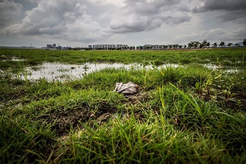 DSC_1023-1-2