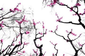 IMG_2053改