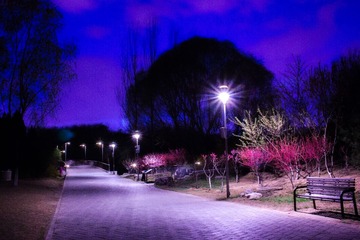 IMG_2353-3