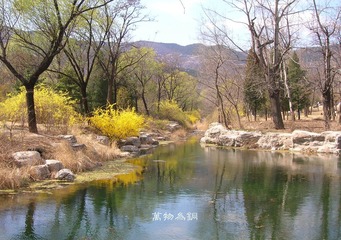 自知明艳
