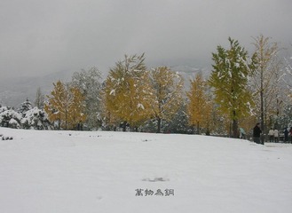 秋雪