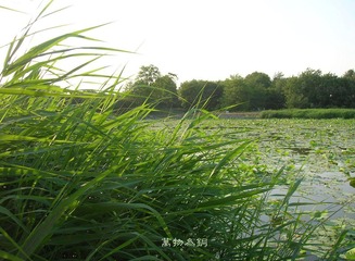 晴光