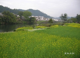 汪口