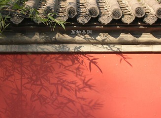 竹影