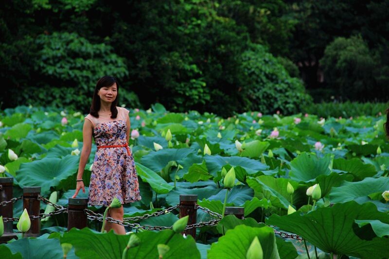 问莲根、有丝多少，莲心知为谁苦？双花脉脉娇相向，只是旧家儿女。