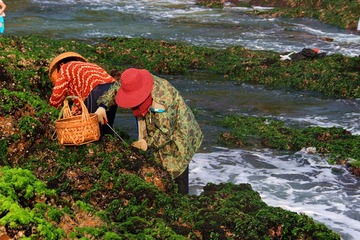 赶海人（2）