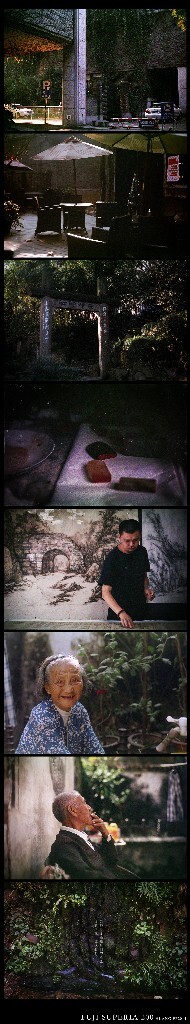 过期11年的fuji superia 200