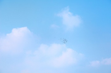 2015-11-25 01.01.26 1-01