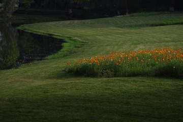 IMGP2115.JPG