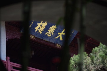 IMGP2207.JPG