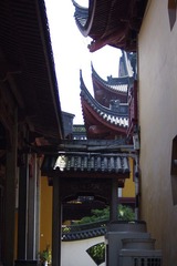 IMGP2222.JPG