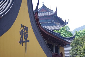 IMGP2225.JPG