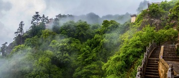 未标题_全景图1