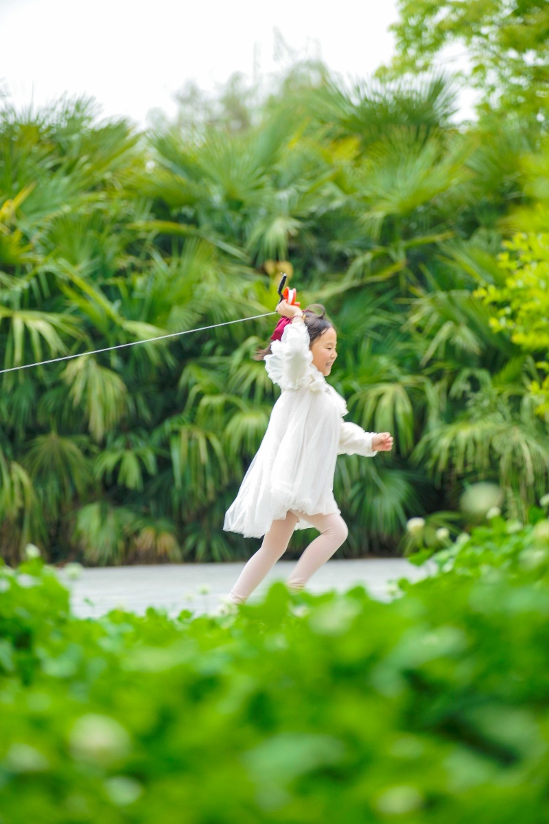 放风筝的白裙子小女孩