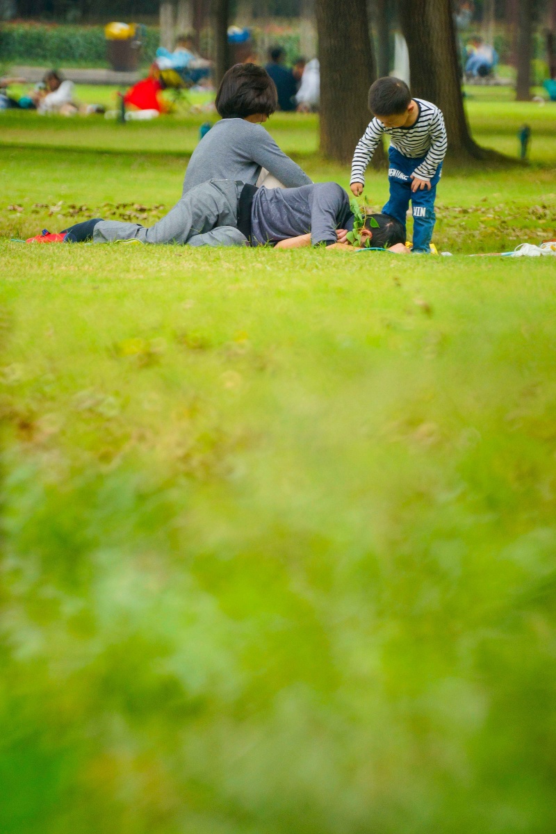 草地上嬉戏的父子