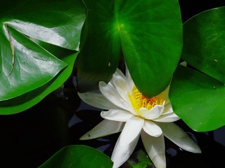 IMG_8637_2