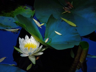 IMG_8739_2