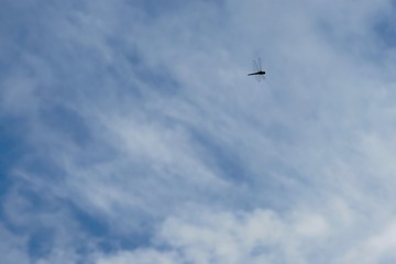 1397675