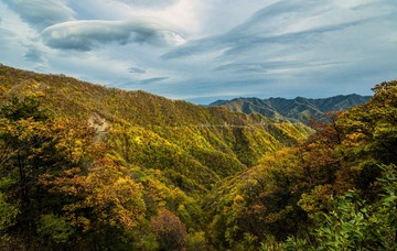 雨后的 黄花岭