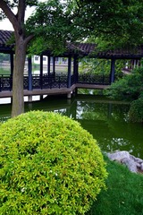 DSC_9143.jpg