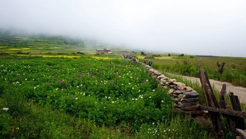 DSC_0140.jpg