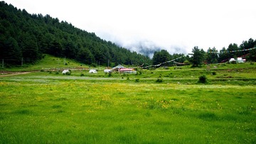 DSC_0158.jpg