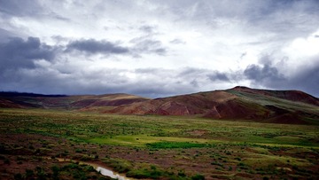 DSC_0293.jpg