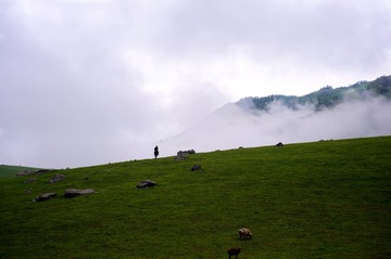 DSC_5942.jpg