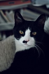 7531