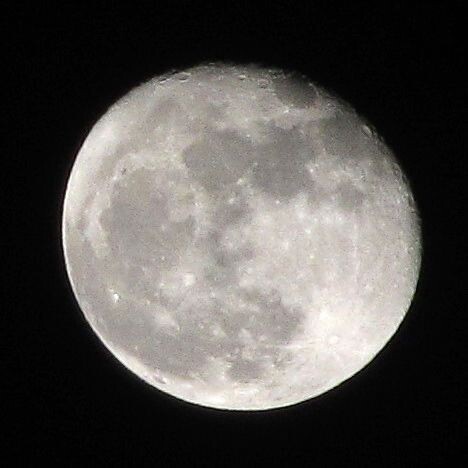 佳能 PowerShot sx130 is<br />
怎么说呢,相机的质量就在这了,不能和单反比。<br /><br />
因为懒 错过了满月 就拍了个残月上来秀一下<br /><br />
好歹发表一张照片<br /><br />
<br /><br />
另外,月亮的上部 可以看到像火山口一样的地形,只有这种时候才能拍得到。<br /><br />
<br /><br />
没啦~