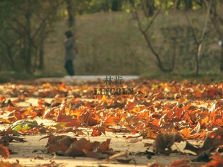 IMG_7001-2.jpg