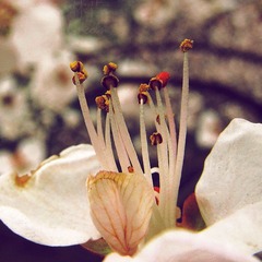 IMG_1730_副本-3.jpg