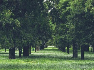 IMG_1666-2