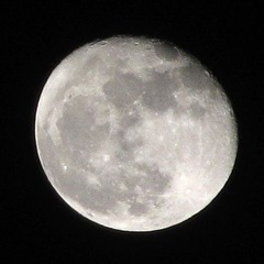 佳能 PowerShot sx130 is