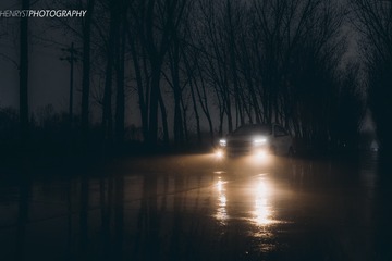 _MG_8385w