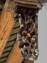 981676