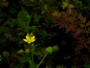 20140426-DSC_0571