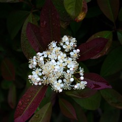 20140426-DSC_0598