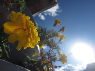 20101111_122604