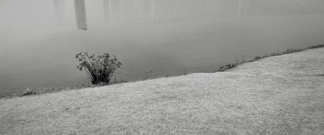 BC826F10-29A4-4340-91EA-BA19887F80C1/L0/001