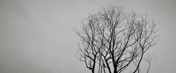 DC12F788-1F23-43A8-A66D-268306496205/L0/001