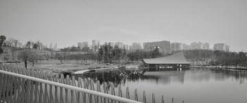 29472772-2D7A-4F36-9734-AD2AAA14D734/L0/001