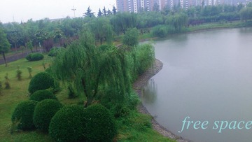 20120519-DSC_0004
