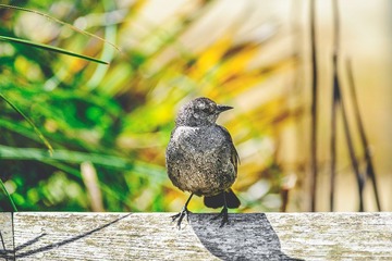 _DSC7139-1