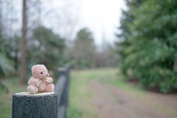 L1000231
