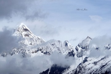 DSC06970-1