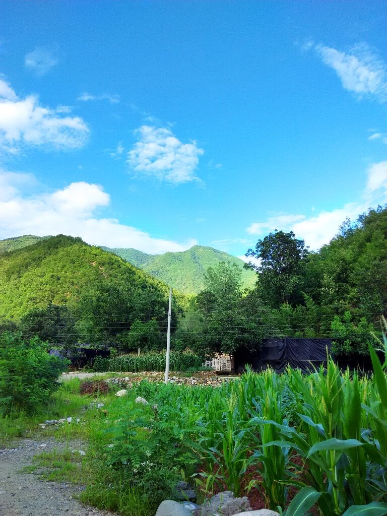 三门峡卢氏县山中