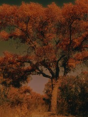 001