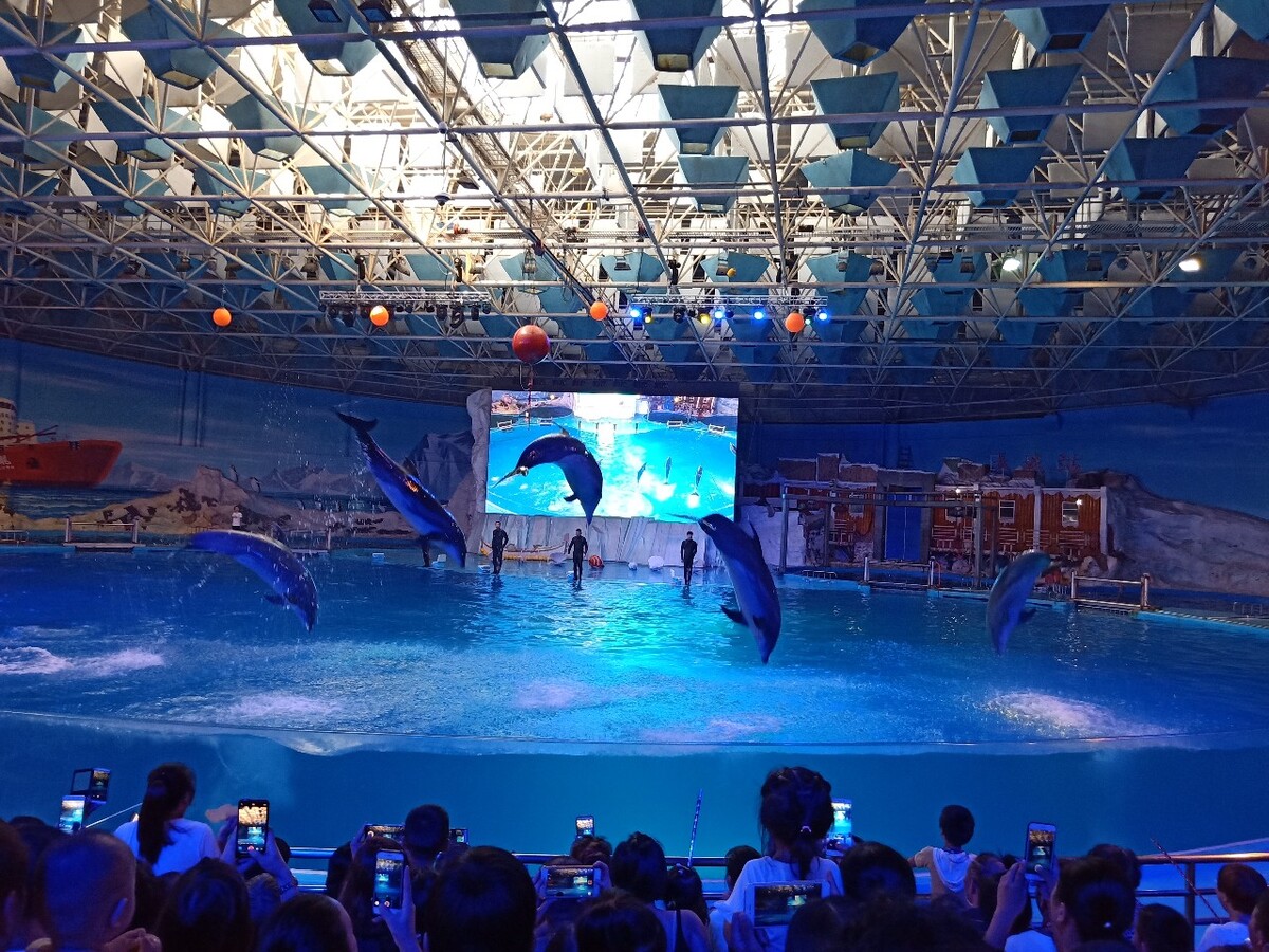 国内排名好的海洋馆